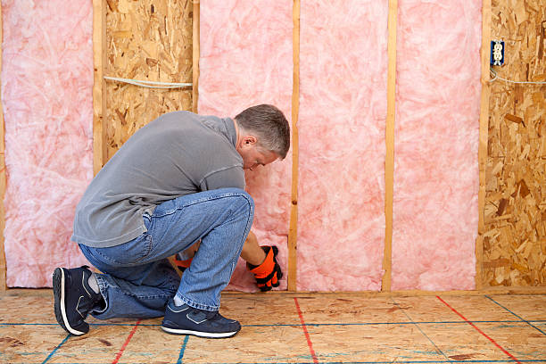 Best Commercial Insulation in Sullivan, MO